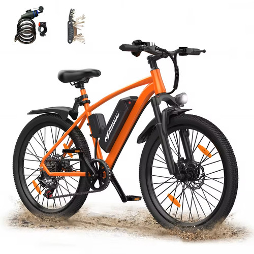 Elektrofahrrad 250w 36v 10ah - 250w,,